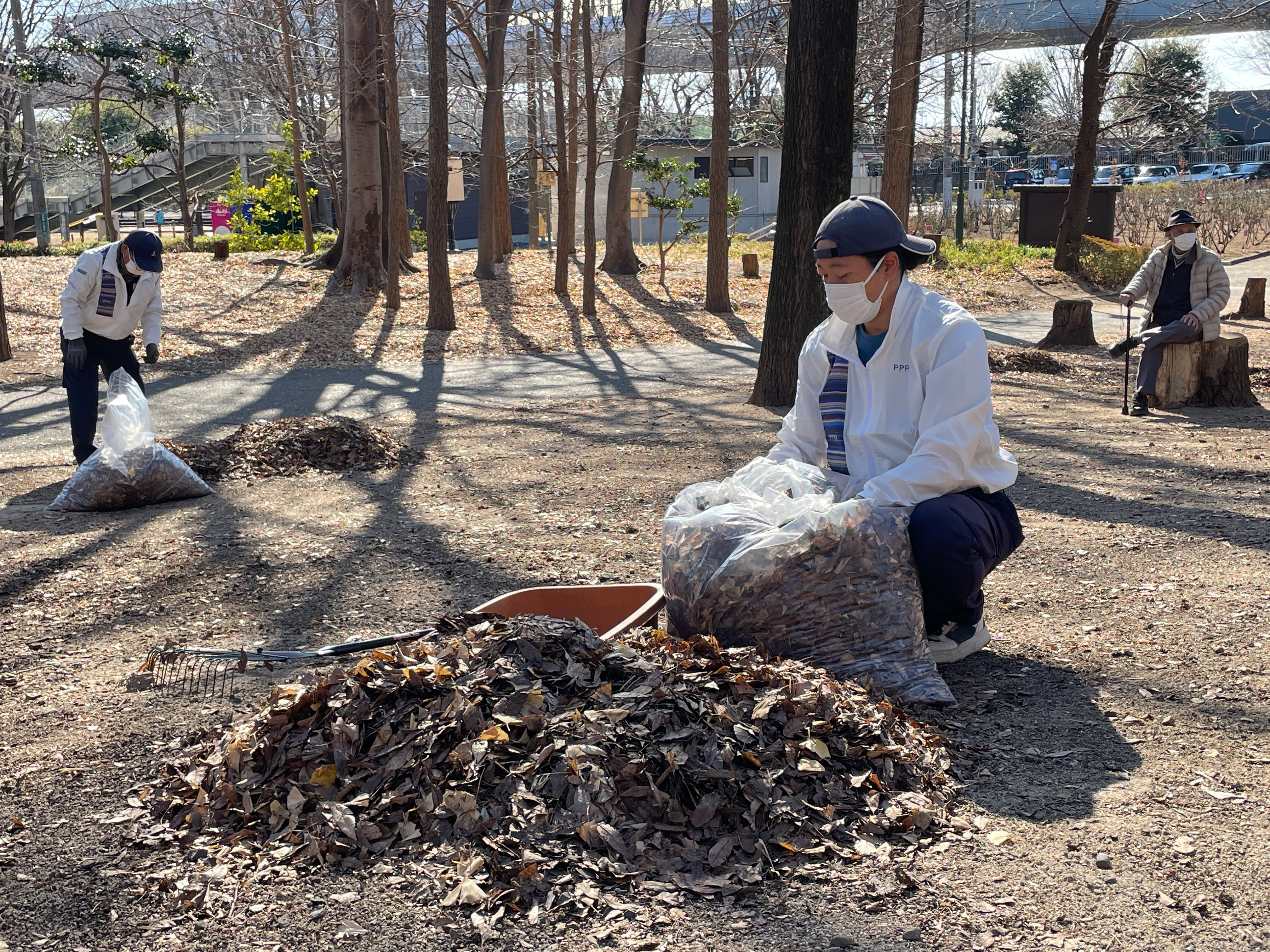 メインビジュアル3